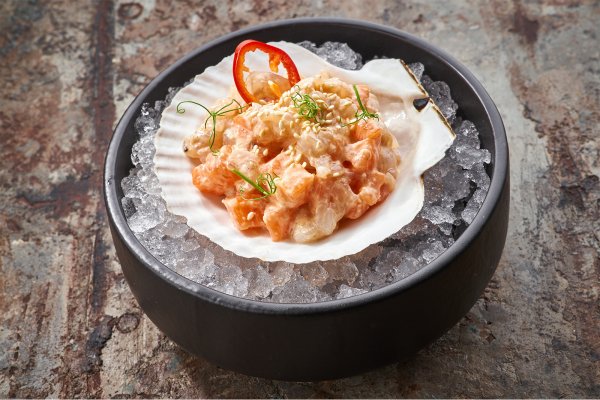 Ceviche with salmon & shrimp